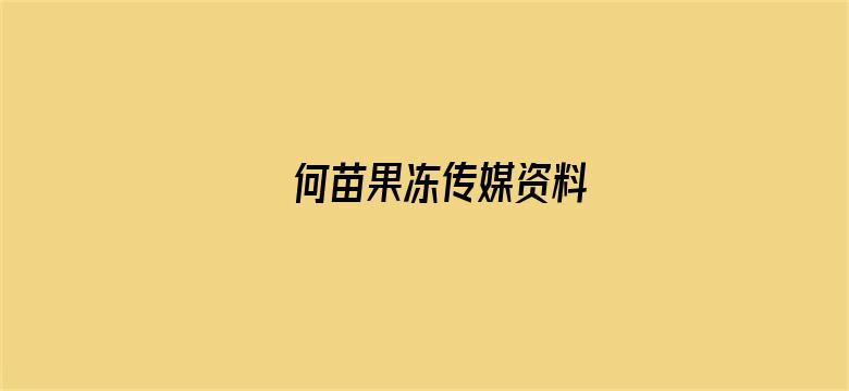 >何苗果冻传媒资料横幅海报图