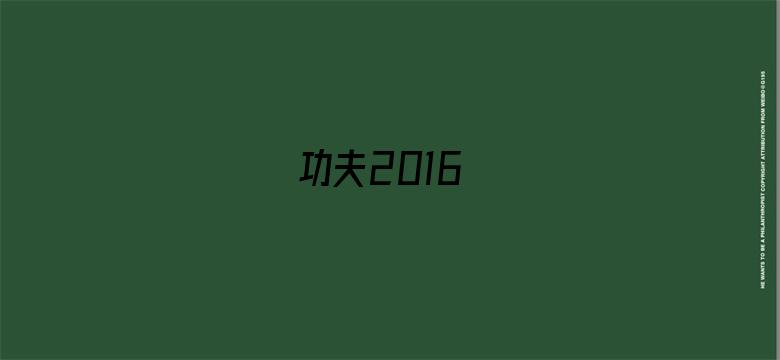 功夫2016