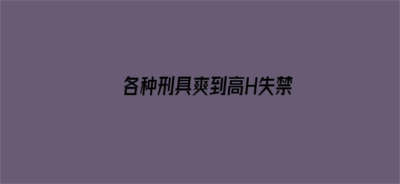 >各种刑具爽到高H失禁小说横幅海报图