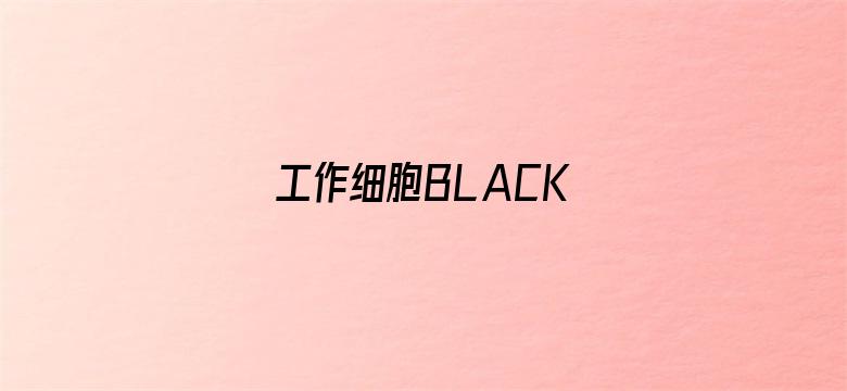 工作细胞BLACK