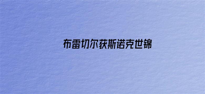 布雷切尔获斯诺克世锦赛冠军