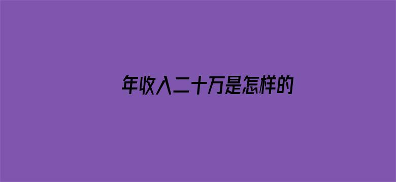 年收入二十万是怎样的水平