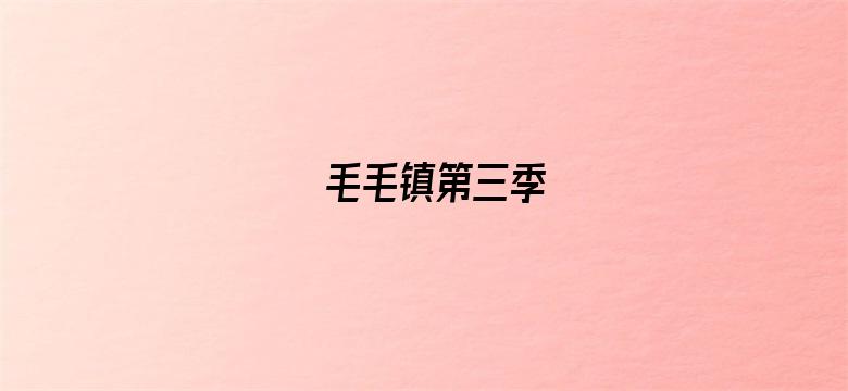 毛毛镇第三季