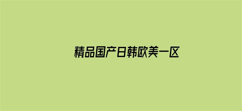 >精品国产日韩欧美一区二区三区横幅海报图