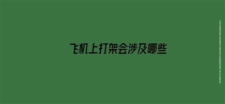 飞机上打架会涉及哪些法律责任